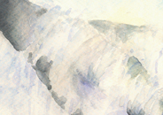 Ballena franca austral